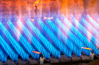 Cordon gas fired boilers